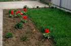 Casa de vanzare sau schimb cu apartament 2 camere Braila - 2