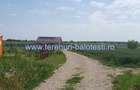 Teren de 600 mp, în Balotești - 1