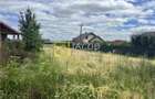 Teren Construcții intravilan de 2426 mp, în Măgura - 3