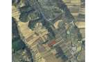 Teren agricol vanzare extravilan One?ti - 2