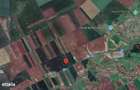 -teren extravilan, com. Satchinez, jud. Timis - 1