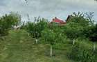 Casă individuală cu 3 camere cu Canalizare în Boteni - 15
