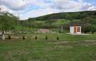 Crama vinalcool Valea Cricovului Prahova - 3