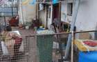 Vind case in bulgarus - 3