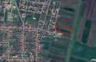 1,4 hectare teren de vanzare in Livada Arad - 1