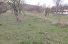 Teren de vanzare Bisoca - 2