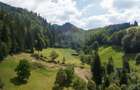 Teren Construcții intravilan de 2891 mp, în Bran - 4