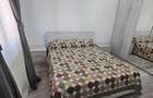 Apartament cu 2 camere decomandat în Lunca Cetățuii - 11