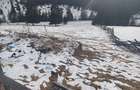 Teren agricol intravilan de 10900 mp, în Măguri-Răcătău - 4