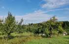 Vand teren intravilan 7410 mp in Sasca Mare, Suceava - 11