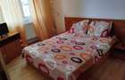 Apartament de inchiriat Timisoara - 6