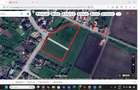 teren Bistrita Sarata - 1