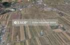 Teren Construcții intravilan de 18000 mp, în Măgurele - 3