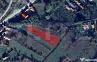 Oportunitate ! Teren intravilan, 1500 mp, sat LIvada , panor - 4
