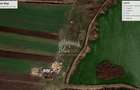 Teren extravilan de 5000 mp, în Corbu - 1