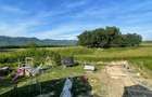 Casa de vanzare, 5 camere, 200mp utili, P+M, Satu Nou de Sus - 3