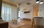 Apartament cu 2 camere decomandat în Herăstrău - 2