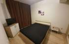 Apartament 1 camera zona Tatarasi - 9