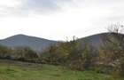 Telita ,Teren de vanzare 2600m - 5