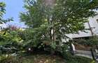 Apartament 4 camere / vila / Giulesti / Intr. Pinului / curte 54 mp - 19