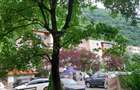 Vind Ap.2 camere parter piata cu privire la padure.Ap.e pe col?.Bun pt.cabinet,birou Notariat s.a. - 3
