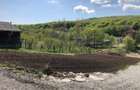 Vand teren intravilan Valea Capriorii - 1