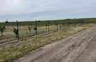 Parcele 1009/1500/2000/2500 mp intravilan zona Peugeot-Ciromat - 4