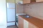 Apartament cu o camera - 2