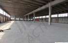 Spațiu industrial, de 3,500 mp, în Theodor Pallady - 3