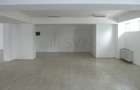 Spațiu comercial, de 251 mp, în Titulescu - 13