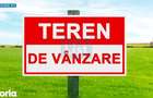 Teren 1 hectar extravilan de vanzare - 1