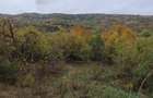 Vanzare sau Schimb! Central Drajna de Jos 5000 mp - 6