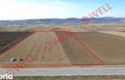 Teren extravilan de vanzare intre Chilieni ?i Co?eni, pe DN12! - 3