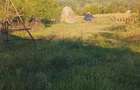 Casă cu 4 camere cu Teren 1000 Mp în Poienari (Poienarii de Argeș) - 4