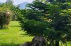 House for sale, 5 Rooms, 180 sqm, Valea Dejani - 12