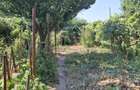 Casa la sol, teren 400 mp, gaz, Ville Noi, 100000 euro - 8