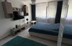 2decomandate lapus arges Proprietar - 2