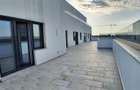 Penthouse cu 9 camere decomandat în Splaiul Unirii - 5