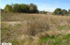 Teren Branceni, ID: R2942560 - 9