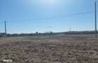 Oportunitate dezvoltare: 10.032 mp cu front la lac, lotizat - 2