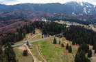 Teren cu potential:1.000 mp,proiect turistic/rezidential,Poiana Brasov - 11