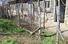 Casă cu 3 camere în Însurăței - 1