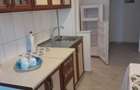 Garsoniera de inchiriat zona big - 1
