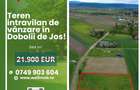 Teren intravilan de vânzare în Dobolii de Jos! - 4