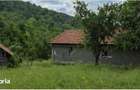 Casa individuala cu 10 hectare teren,4 camere, anexa, Matacina - 5