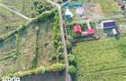 Teren Intravilan , Livezeni , 800mp , Zona Linistita - 4
