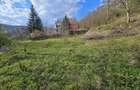 BREBU intravilan 1800 mp, deschidere 29 ml, doar 16.900 - 3