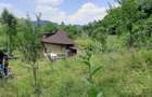 Proprietate pe Valea Vâlsanului – Cabane din lemn + Casă ecologică COB - 8