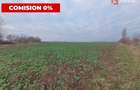 Teren agricol extravilan de 20000 mp, în Șag - 5