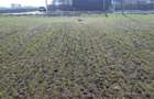 Teren Slobozia Noua, Ialomita, parcele teren intravilan, 500-2000mp, 20-80 euro mp - 4